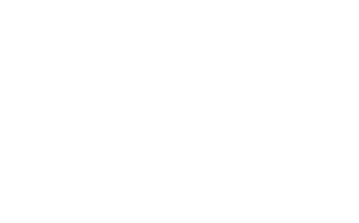 Allegheny Veterinary Services