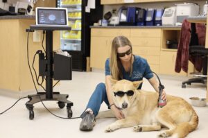 Regenerative Laser Therapy 1